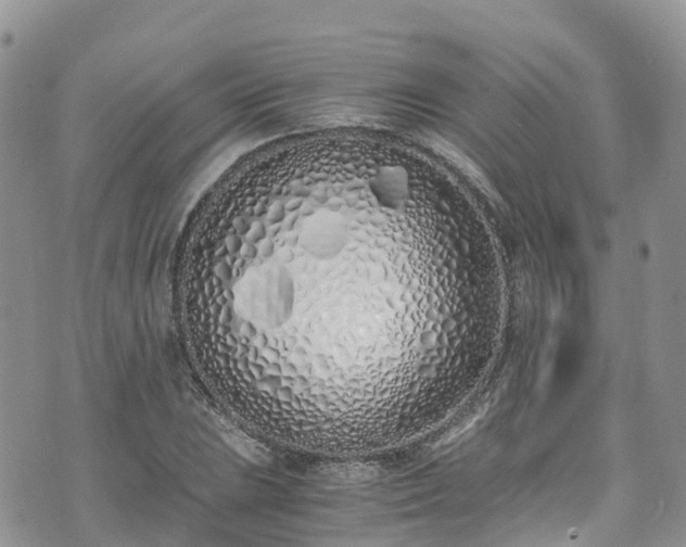 X0000073471023200608041112