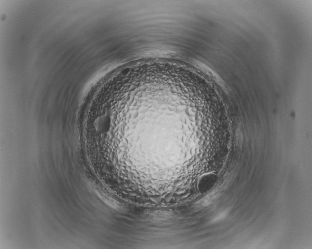 X0000073471027200608041112