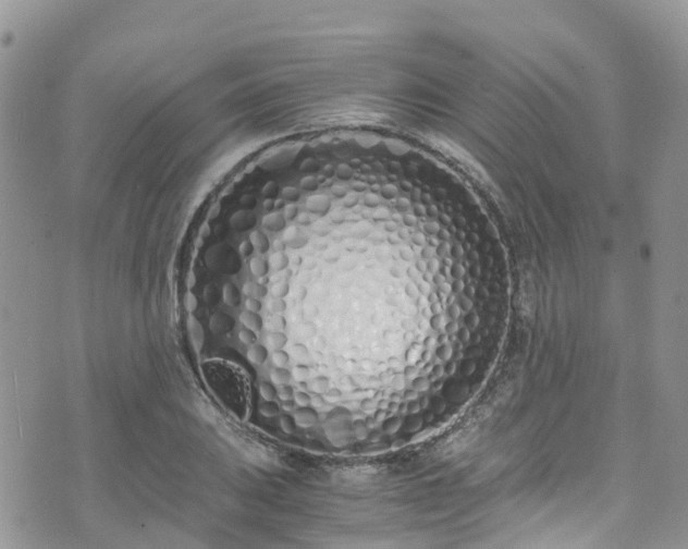 X0000073471031200608041113