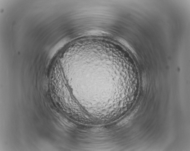 X0000073471067200608041112
