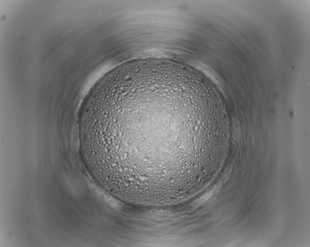 X0000073471075200608041112