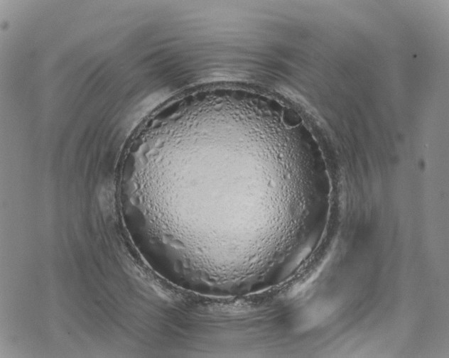 X0000073471121200608041111