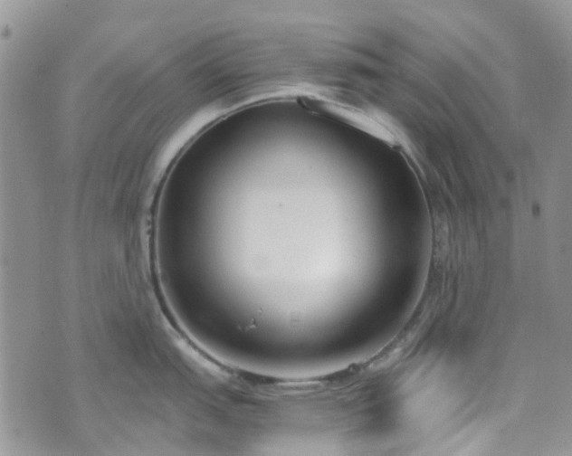 X0000073471151200608041111