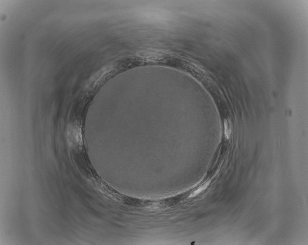 X0000073471155200608041111