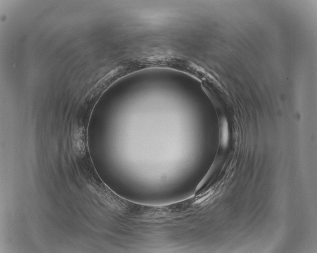 X0000073471156200608041111