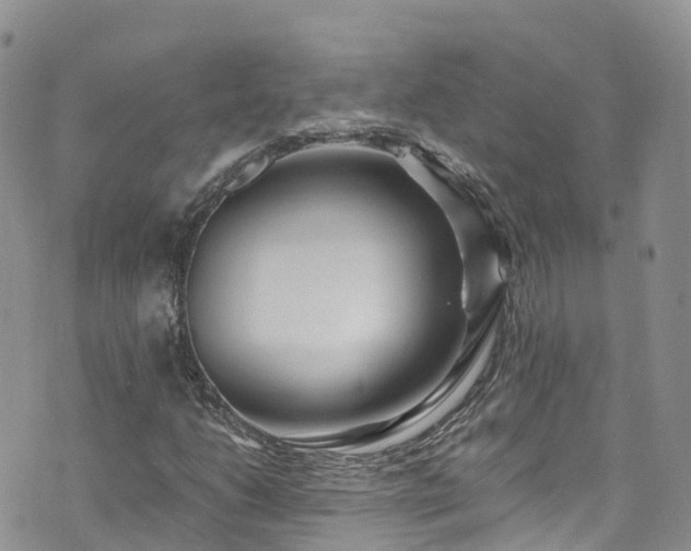 X0000073471206200608041109