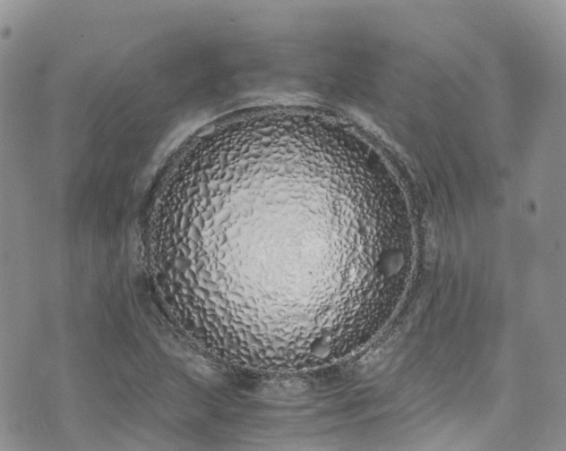 X0000073471215200608041109