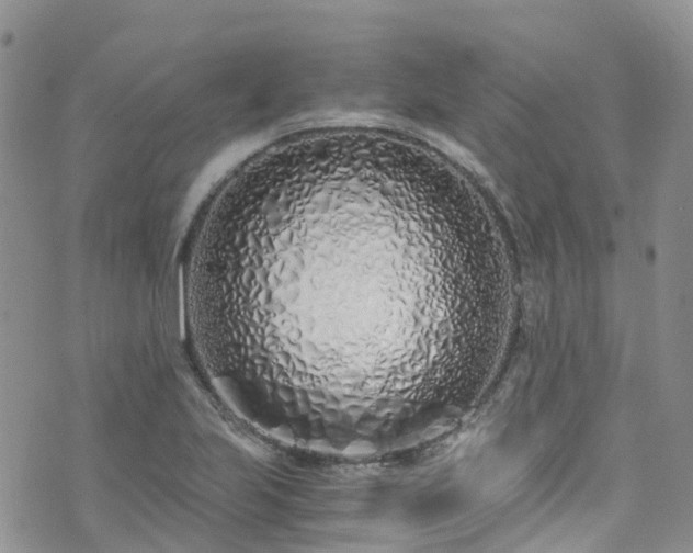 X0000073471223200608041109