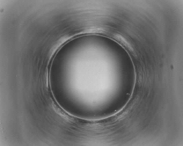 X0000073471276200608041109