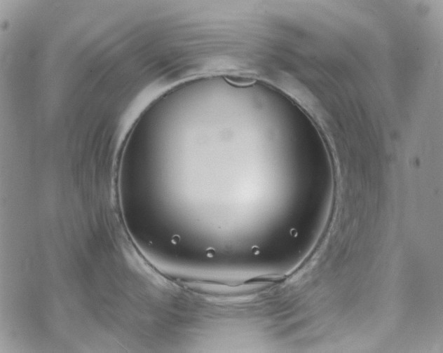 X0000073471296200608041108