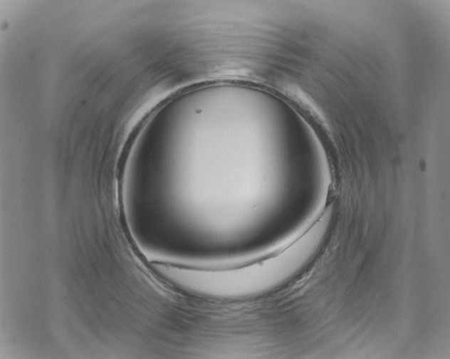 X0000073471324200608041108