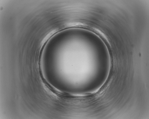 X0000073471330200608041108