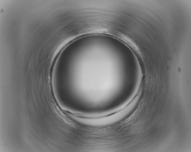 X0000073471332200608041108