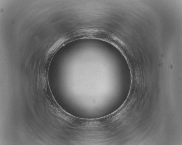 X0000073471354200608041107