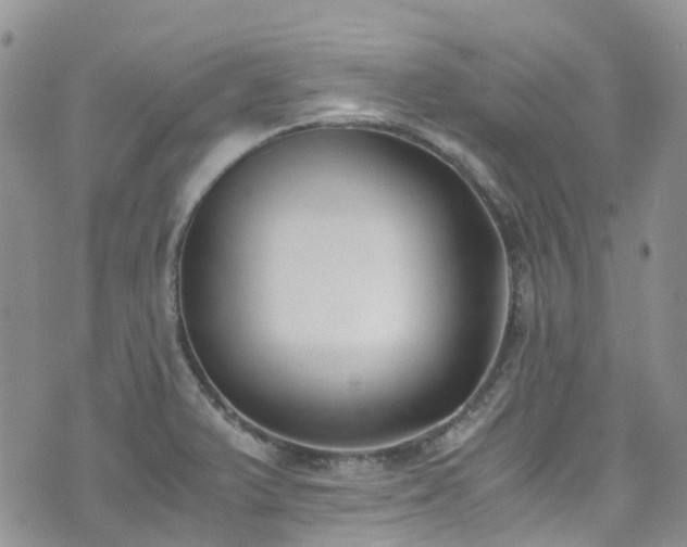 X0000073471375200608041107