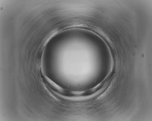 X0000073471377200608041107