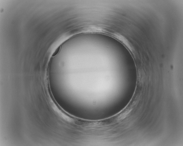 X0000073471387200608041107