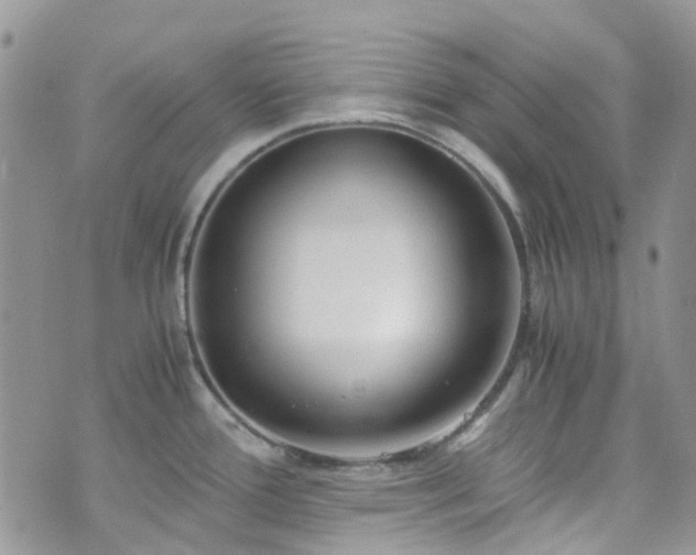 X0000073471388200608041107