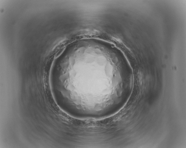 X0000073471399200608041106
