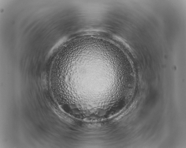 X0000073471403200608041106
