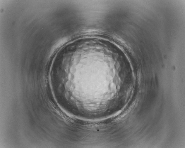 X0000073471405200608041106