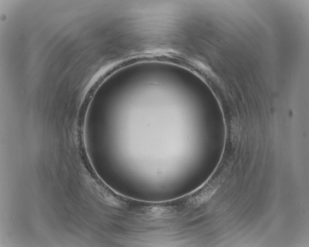 X0000073471412200608041106