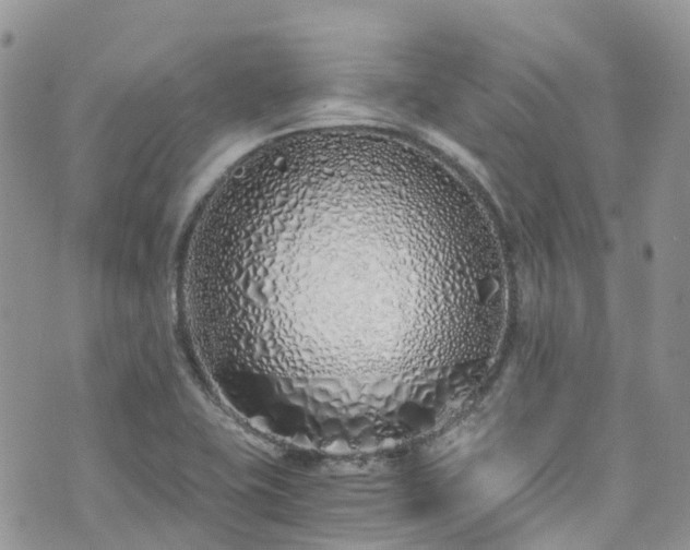 X0000073471415200608041106