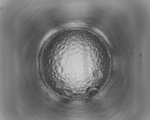 X0000073471419200608041106