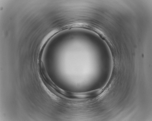 X0000073471426200608041106
