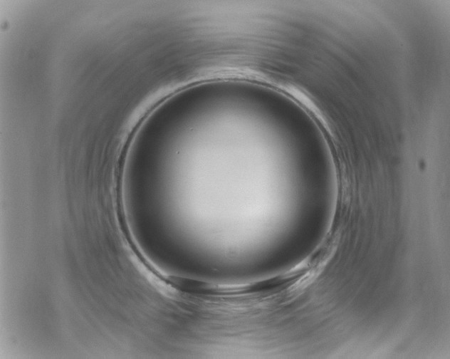 X0000073471438200608041107