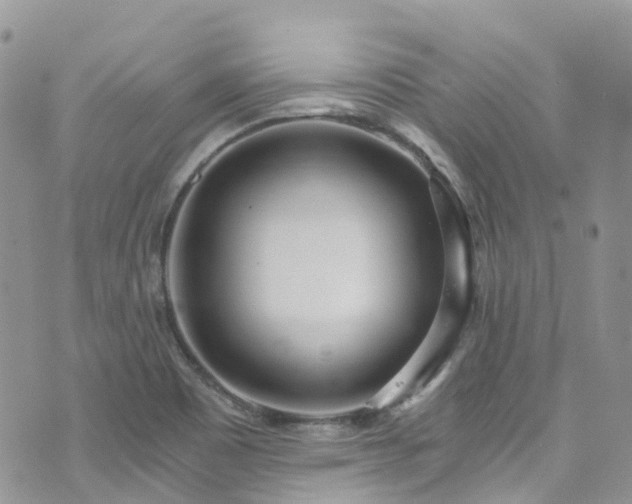 X0000073471465200608041105