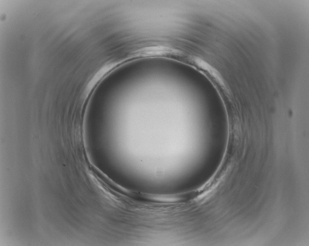 X0000073471473200608041105