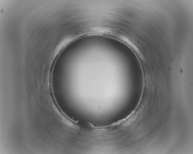 X0000073471477200608041105