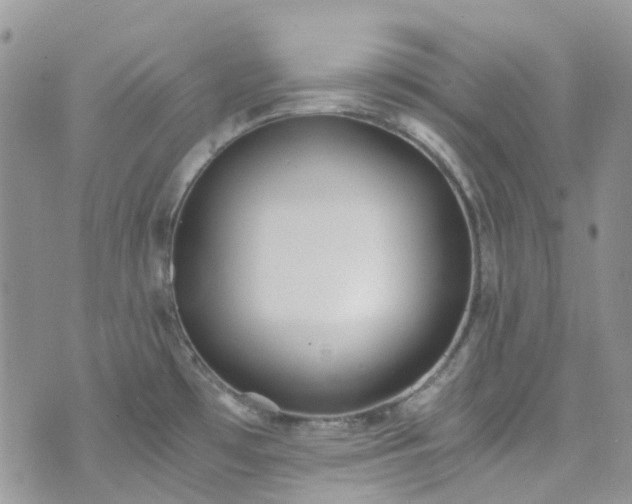 X0000073471481200608041105