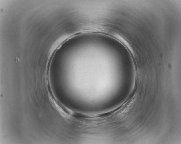 X0000073471485200608041105