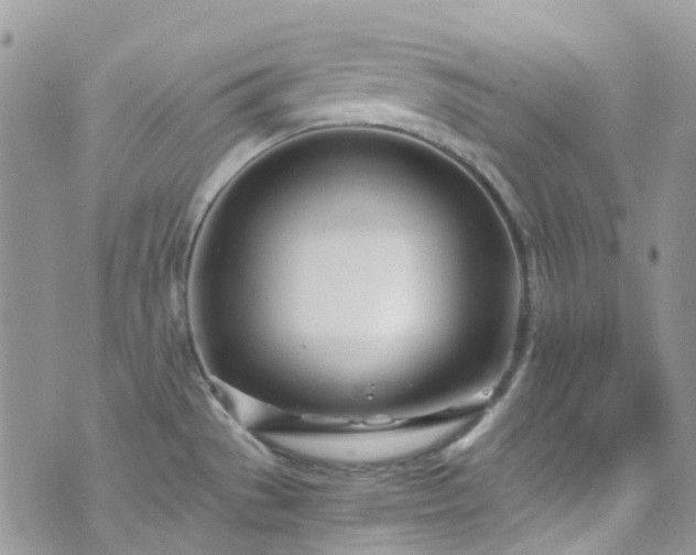X0000073471529200608041105