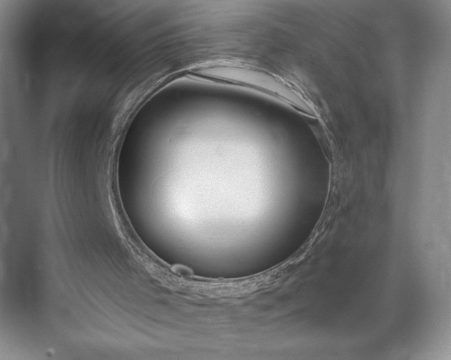 X0000073470001200608111548