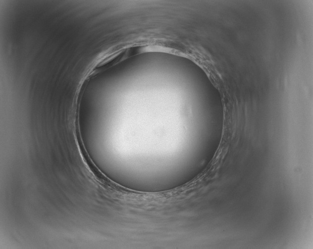 X0000073470003200608111548