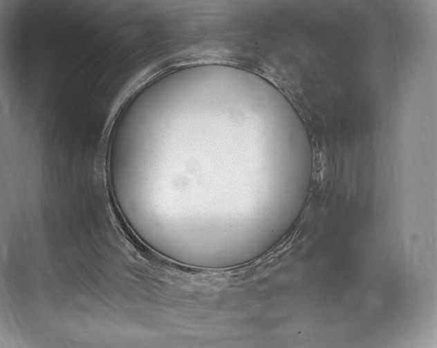 X0000073470004200608111548