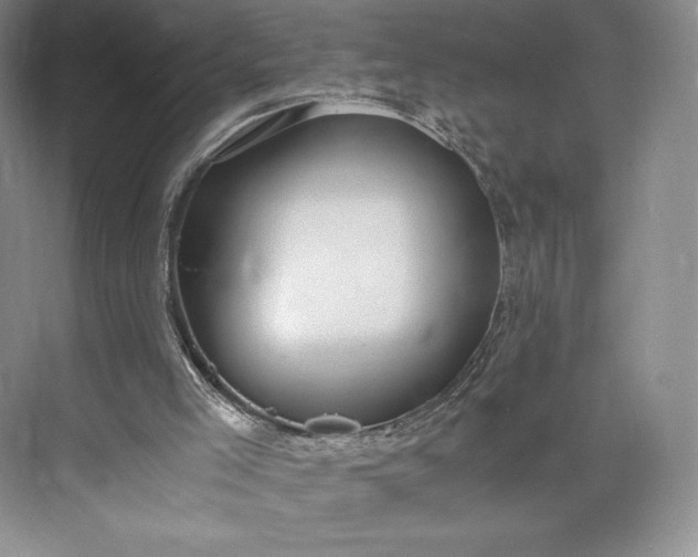 X0000073470005200608111548