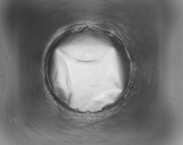 X0000073470006200608111548