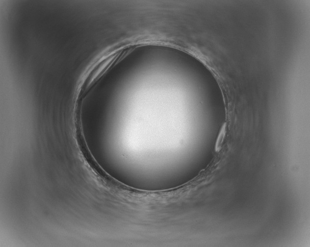 X0000073470007200608111548