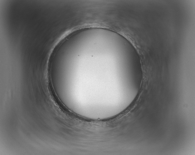 X0000073470008200608111548