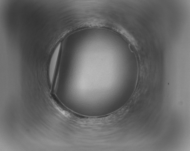 X0000073470009200608111548