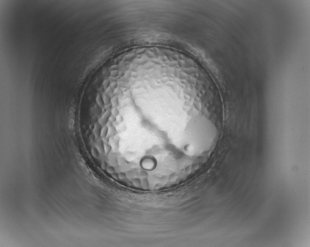 X0000073470010200608111548