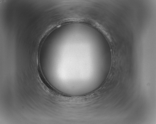 X0000073470011200608111548