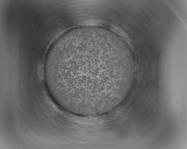 X0000073470012200608111548