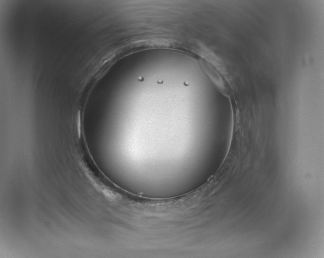 X0000073470013200608111548