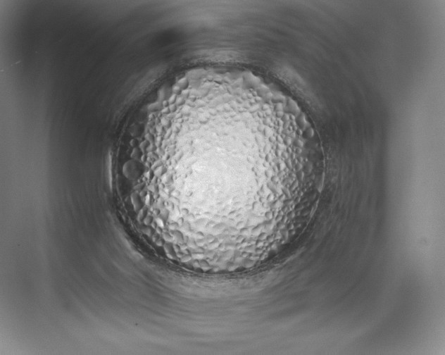 X0000073470014200608111548