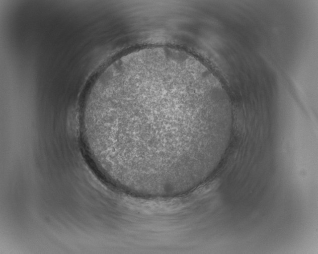 X0000073470016200608111548